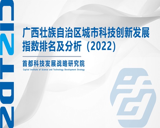 男生下面在女生下面抽插视频【成果发布】广西壮族自治区城市科技创新发展指数排名及分析（2022）